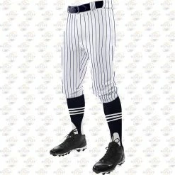 Champro Sports Men's Pinstripe Knicker Baseball Pants Champro 5 Champro Sports Men's Pinstripe Knicker Baseball Pants Champro -Baseball Gloves Shop CPBPPINKA WN 1500 WP