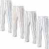 Mizuno Pro Pinstripe Mens Baseball Pants