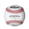 Amersports A1062 Tournament Series Dixie Baseballs
