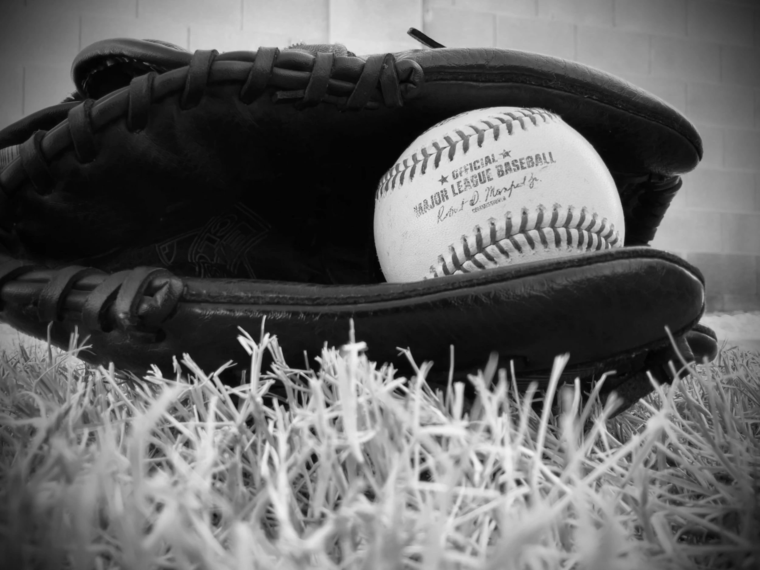 Baseball Gloves Shop 24 Baseball Gloves Shop -Baseball Gloves Shop clay brown eaHC oveKg unsplash scaled